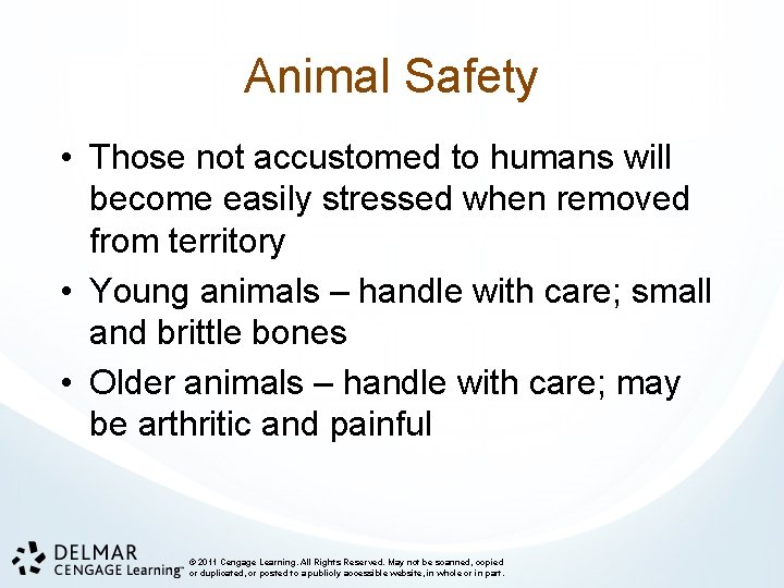 Animal Safety • Those not accustomed to humans will become easily stressed when removed