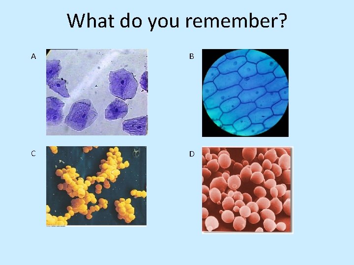 What do you remember? A B C D 