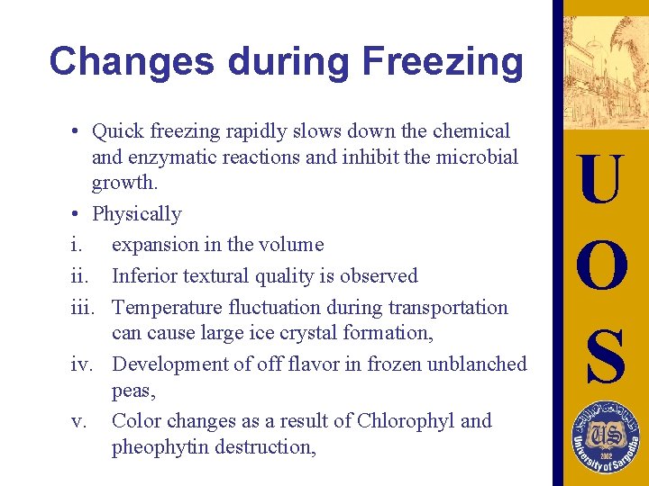 Changes during Freezing • Quick freezing rapidly slows down the chemical and enzymatic reactions