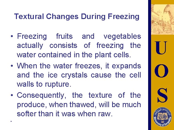 Textural Changes During Freezing • Freezing fruits and vegetables actually consists of freezing the