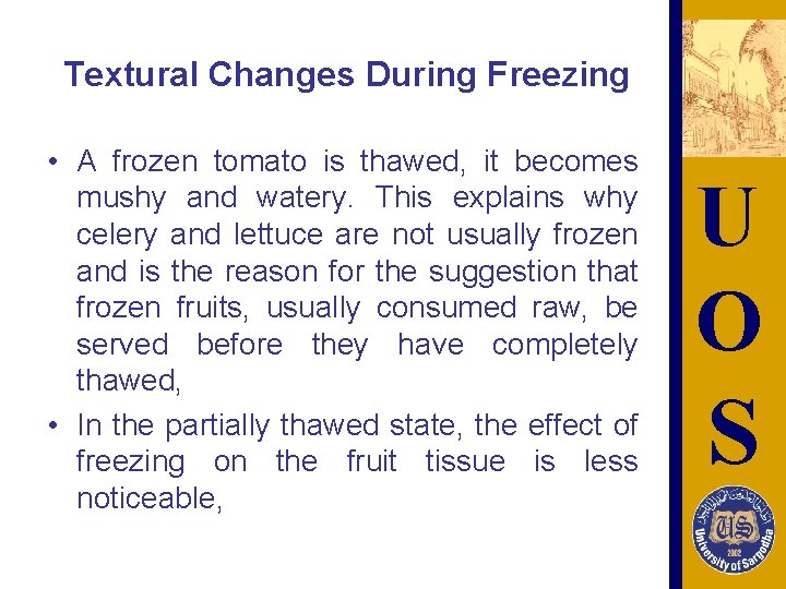 Textural Changes During Freezing • A frozen tomato is thawed, it becomes mushy and