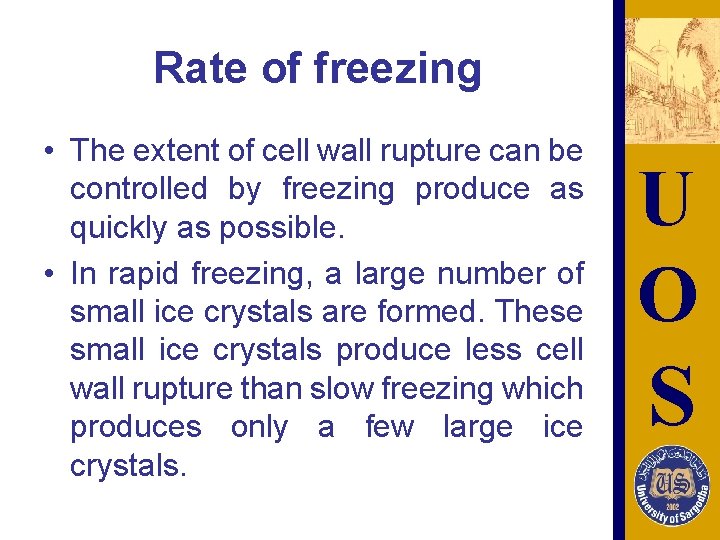 Rate of freezing • The extent of cell wall rupture can be controlled by