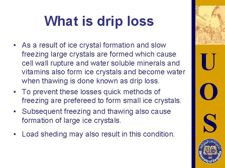 What is drip loss • As a result of ice crystal formation and slow