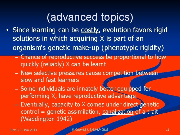 (advanced topics) • Since learning can be costly, evolution favors rigid solutions in which