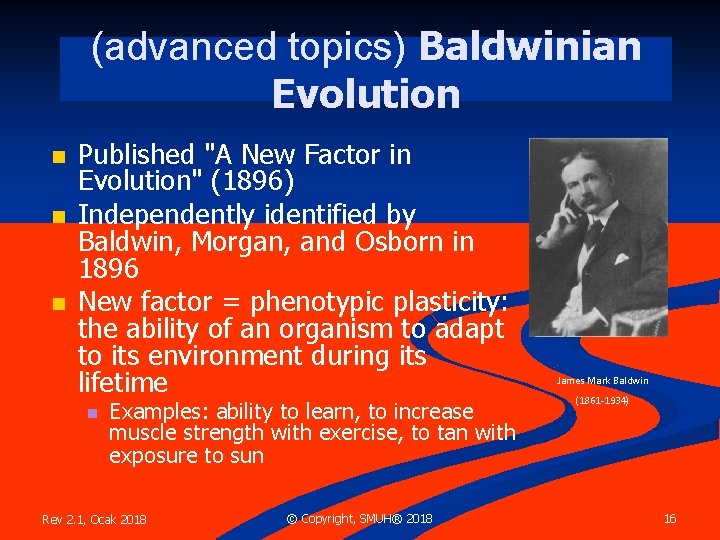 (advanced topics) Baldwinian Evolution n Published "A New Factor in Evolution" (1896) Independently identified