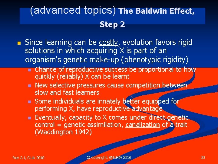 (advanced topics) The Baldwin Effect, Step 2 n Since learning can be costly, evolution