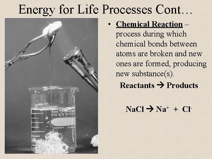 Energy for Life Processes Cont… • Chemical Reaction – process during which chemical bonds Energy for Life Processes Cont… • Chemical Reaction – process during which chemical bonds