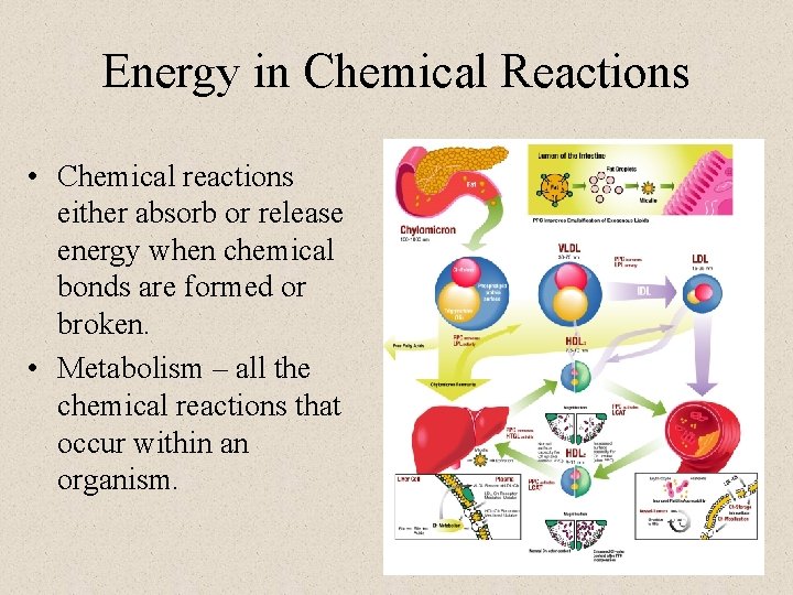 Energy in Chemical Reactions • Chemical reactions either absorb or release energy when chemical Energy in Chemical Reactions • Chemical reactions either absorb or release energy when chemical
