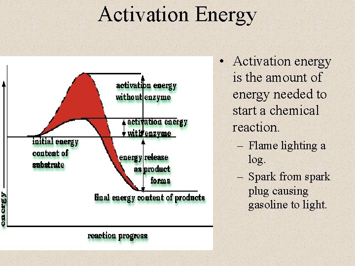 Activation Energy • Activation energy is the amount of energy needed to start a Activation Energy • Activation energy is the amount of energy needed to start a