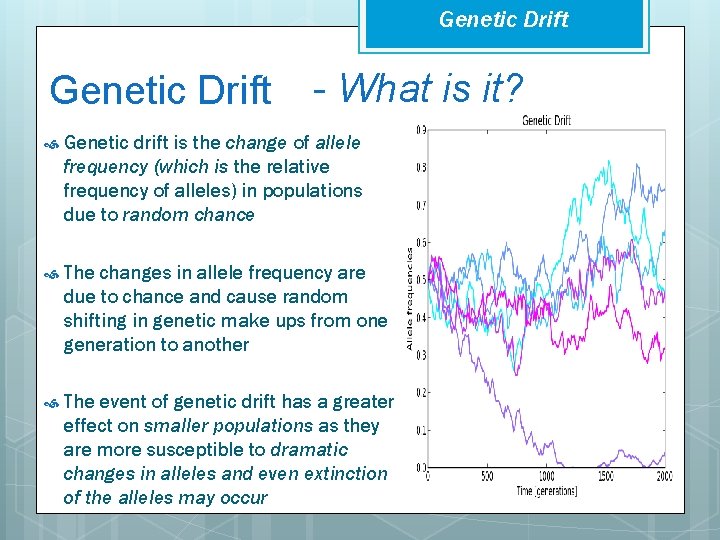 Genetic Drift - What is it? Genetic drift is the change of allele frequency