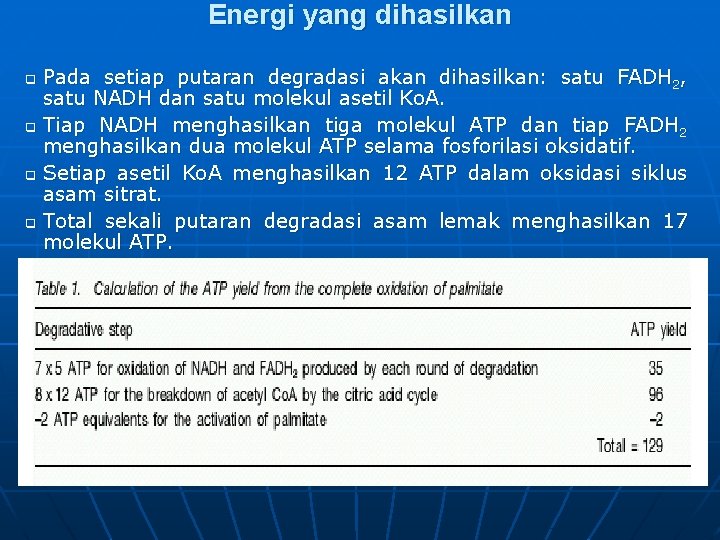 Energi yang dihasilkan q q Pada setiap putaran degradasi akan dihasilkan: satu FADH 2,