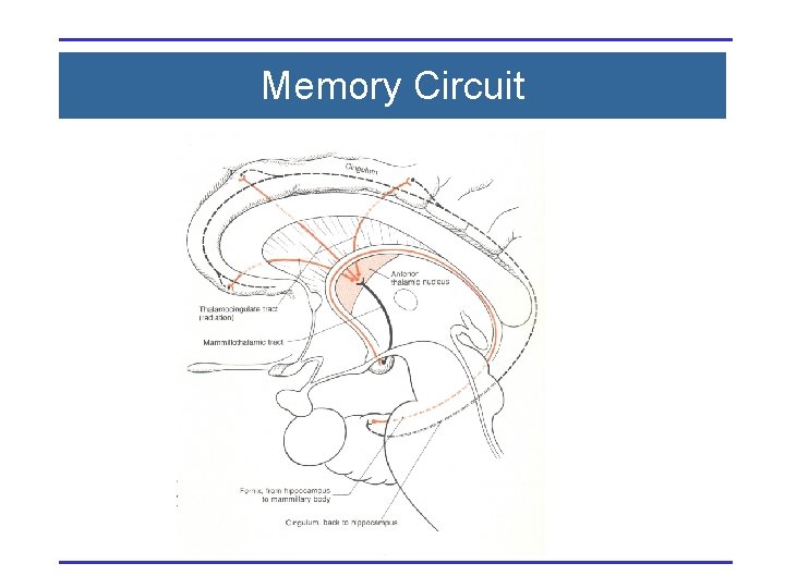 Memory Circuit 