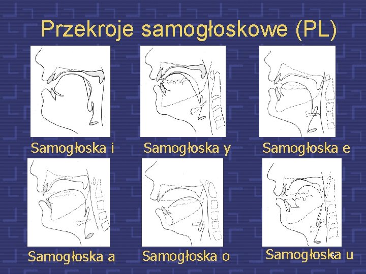 Przekroje samogłoskowe (PL) Samogłoska i Samogłoska y Samogłoska a Samogłoska o Samogłoska e 16