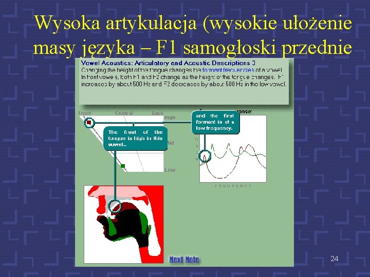 Wysoka artykulacja (wysokie ułożenie masy języka – F 1 samogłoski przednie 24 