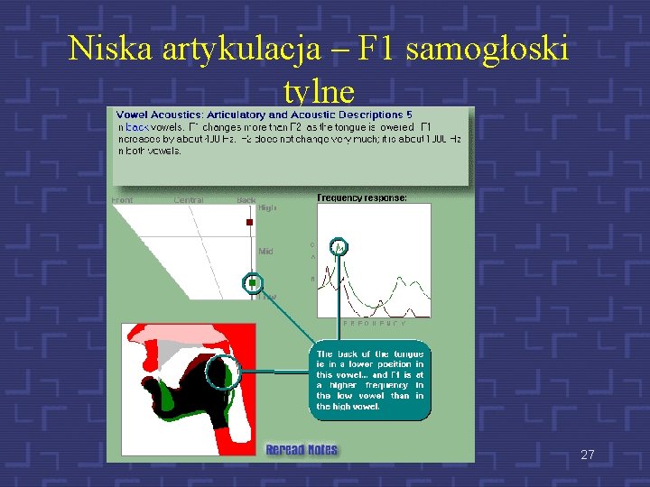 Niska artykulacja – F 1 samogłoski tylne 27 