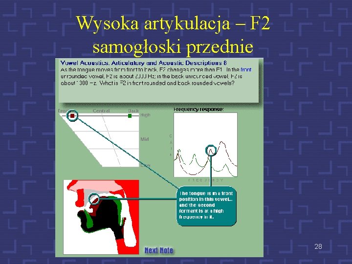 Wysoka artykulacja – F 2 samogłoski przednie 28 