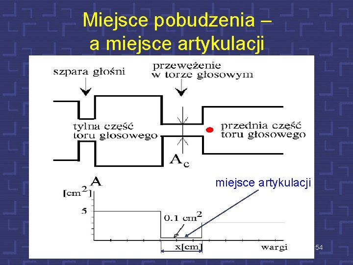 Miejsce pobudzenia – a miejsce artykulacji 54 