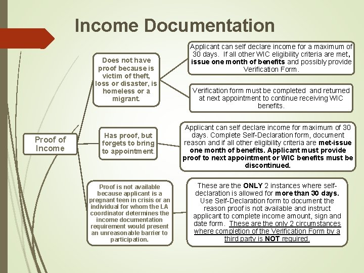 Income Documentation Does not have proof because is victim of theft, loss or disaster,