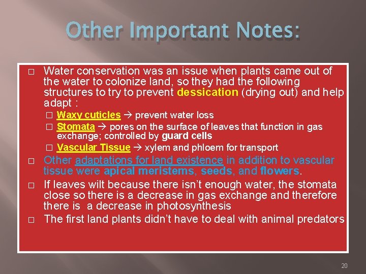 Other Important Notes: � Water conservation was an issue when plants came out of