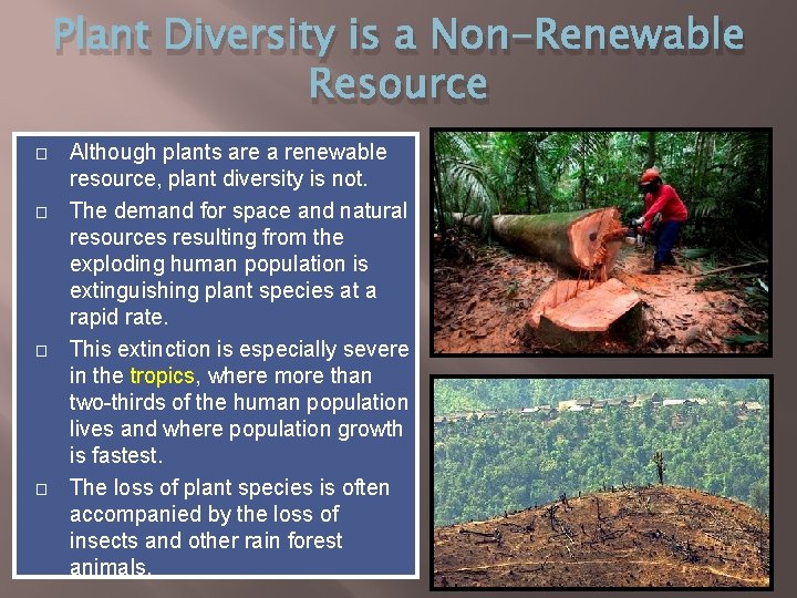 Plant Diversity is a Non-Renewable Resource � � Although plants are a renewable resource,