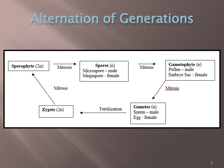 Alternation of Generations 6 