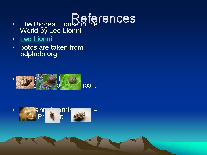 The Biggest House in the World by Leo
