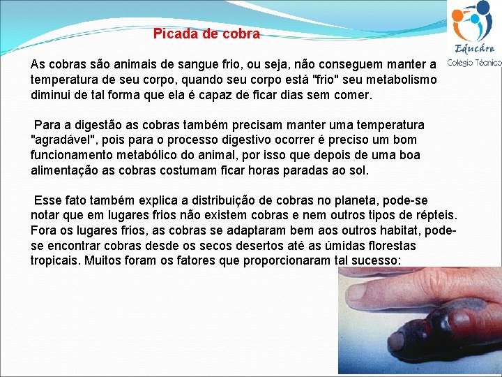 Picada de cobra As cobras são animais de sangue frio, ou seja, não conseguem