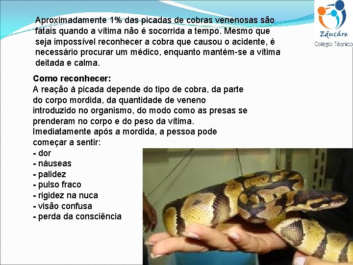 Aproximadamente 1% das picadas de cobras venenosas são fatais quando a vítima não é