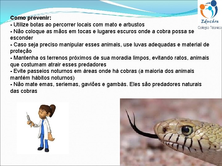 Como prevenir: - Utilize botas ao percorrer locais com mato e arbustos - Não