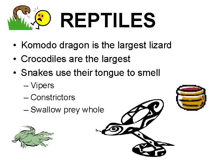REPTILES • Komodo dragon is the largest lizard • Crocodiles are the largest •