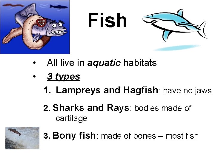 Fish • • All live in aquatic habitats 3 types 1. Lampreys and Hagfish: