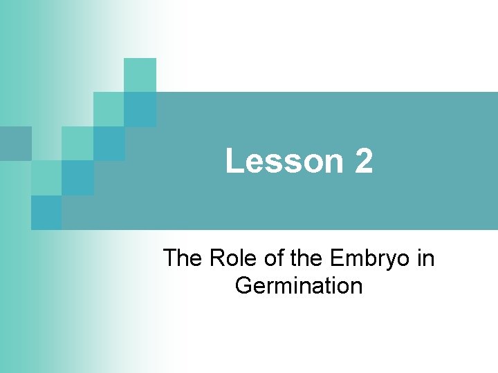 Lesson 2 The Role of the Embryo in Germination 