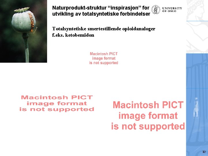 Naturprodukt-struktur “inspirasjon” for utvikling av totalsyntetiske forbindelser Totalsyntetiske smertestillende opioidanaloger f. eks. ketobemidon 12