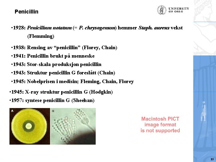Penicillin • 1928: Penicillum notatum (= P. chrysogenum) hemmer Staph. aureus vekst (Flemming) •