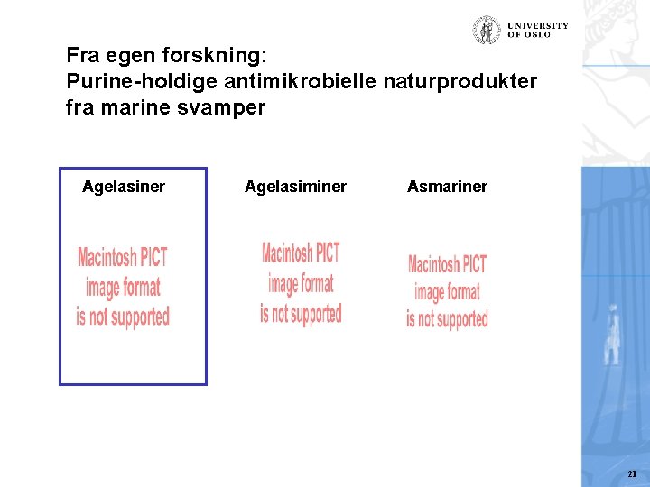 Fra egen forskning: Purine-holdige antimikrobielle naturprodukter fra marine svamper Agelasiner Agelasiminer Asmariner 21 