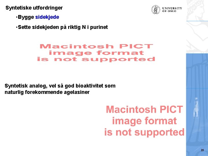 Syntetiske utfordringer • Bygge sidekjede • Sette sidekjeden på riktig N i purinet Syntetisk