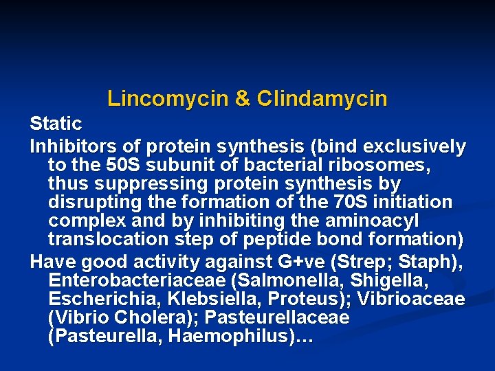 Lincomycin & Clindamycin Static Inhibitors of protein synthesis (bind exclusively to the 50 S