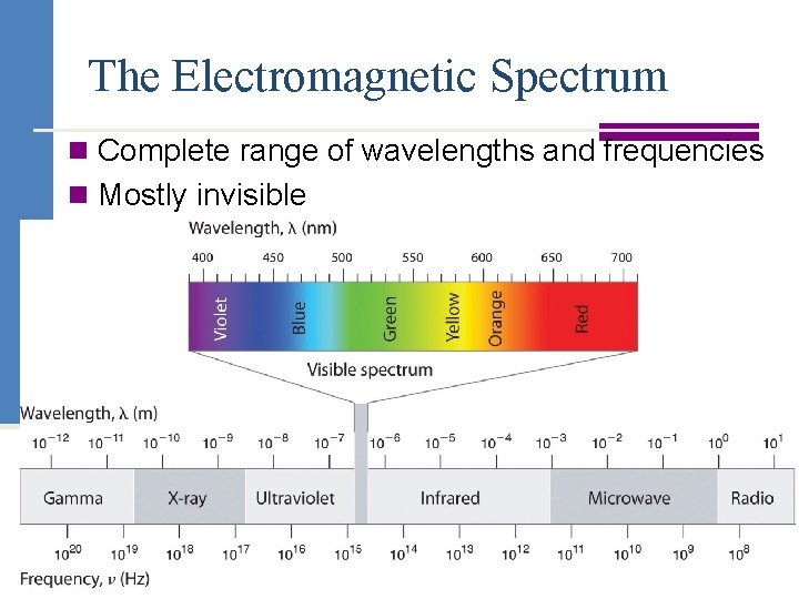 The Electromagnetic Spectrum n Complete range of wavelengths and frequencies n Mostly invisible 