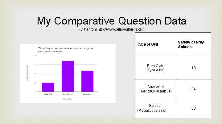 My Comparative Question Data (Data from http: //www. allaboutbirds. org) Type of Owl Variety