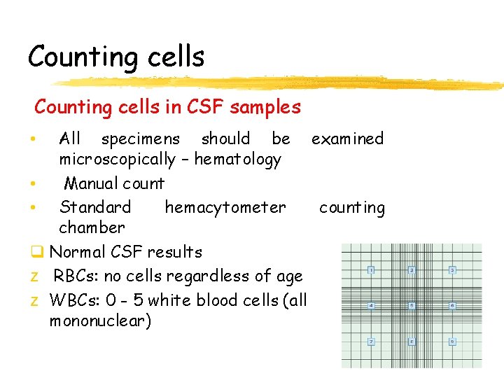 Counting cells in CSF samples All specimens should be examined microscopically – hematology •