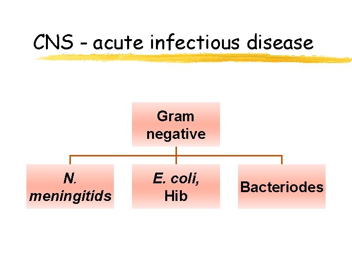 CNS - acute infectious disease Gram negative N. meningitids E. coli, Hib Bacteriodes 