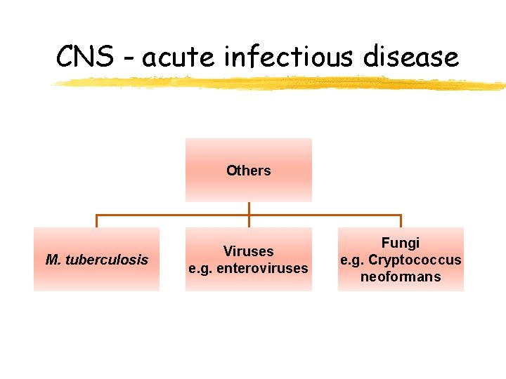 CNS - acute infectious disease Others M. tuberculosis Viruses e. g. enteroviruses Fungi e.