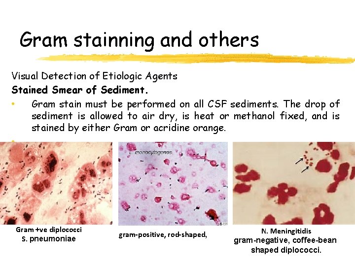 Gram stainning and others Visual Detection of Etiologic Agents Stained Smear of Sediment. •