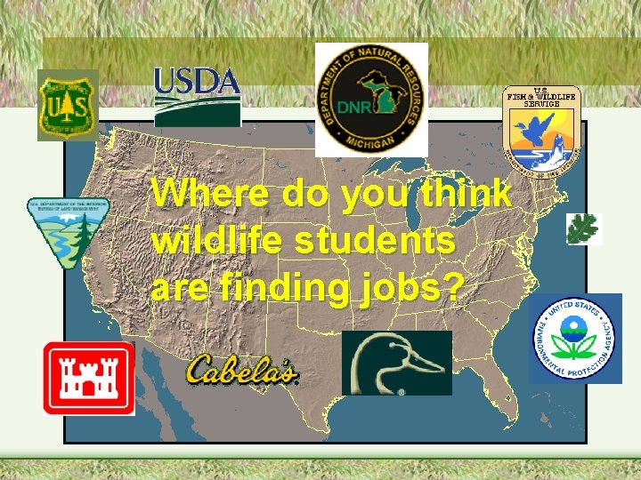 Where do you think wildlife students are finding jobs? 