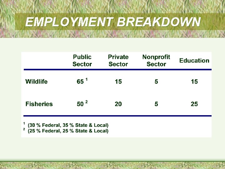 EMPLOYMENT BREAKDOWN 