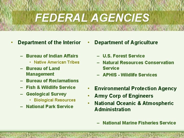 FEDERAL AGENCIES • Department of the Interior – Bureau of Indian Affairs • Native