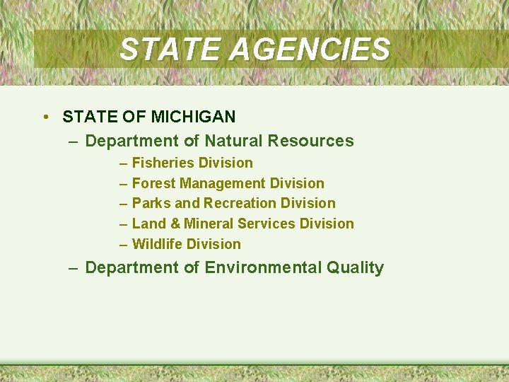 STATE AGENCIES • STATE OF MICHIGAN – Department of Natural Resources – – –