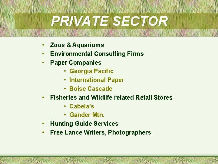 PRIVATE SECTOR • Zoos & Aquariums • Environmental Consulting Firms • Paper Companies •