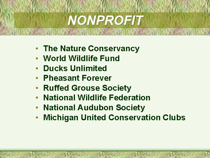 NONPROFIT • • The Nature Conservancy World Wildlife Fund Ducks Unlimited Pheasant Forever Ruffed