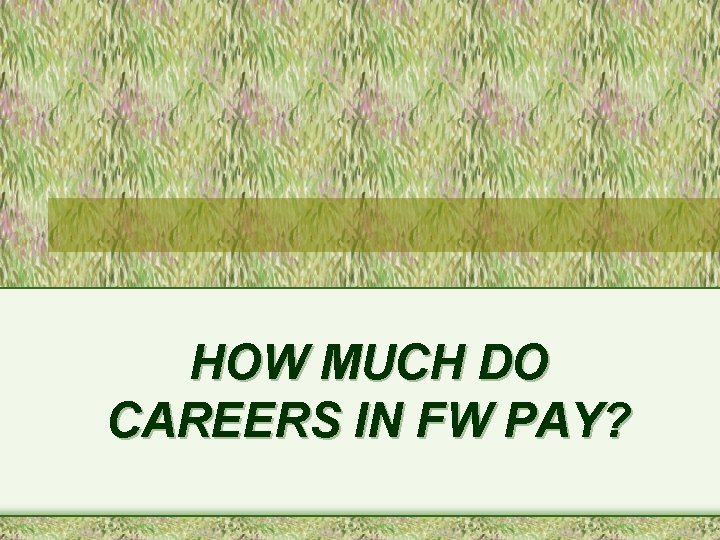 HOW MUCH DO CAREERS IN FW PAY? 